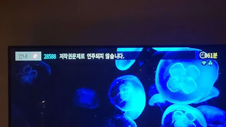 파일:1000000443.webp