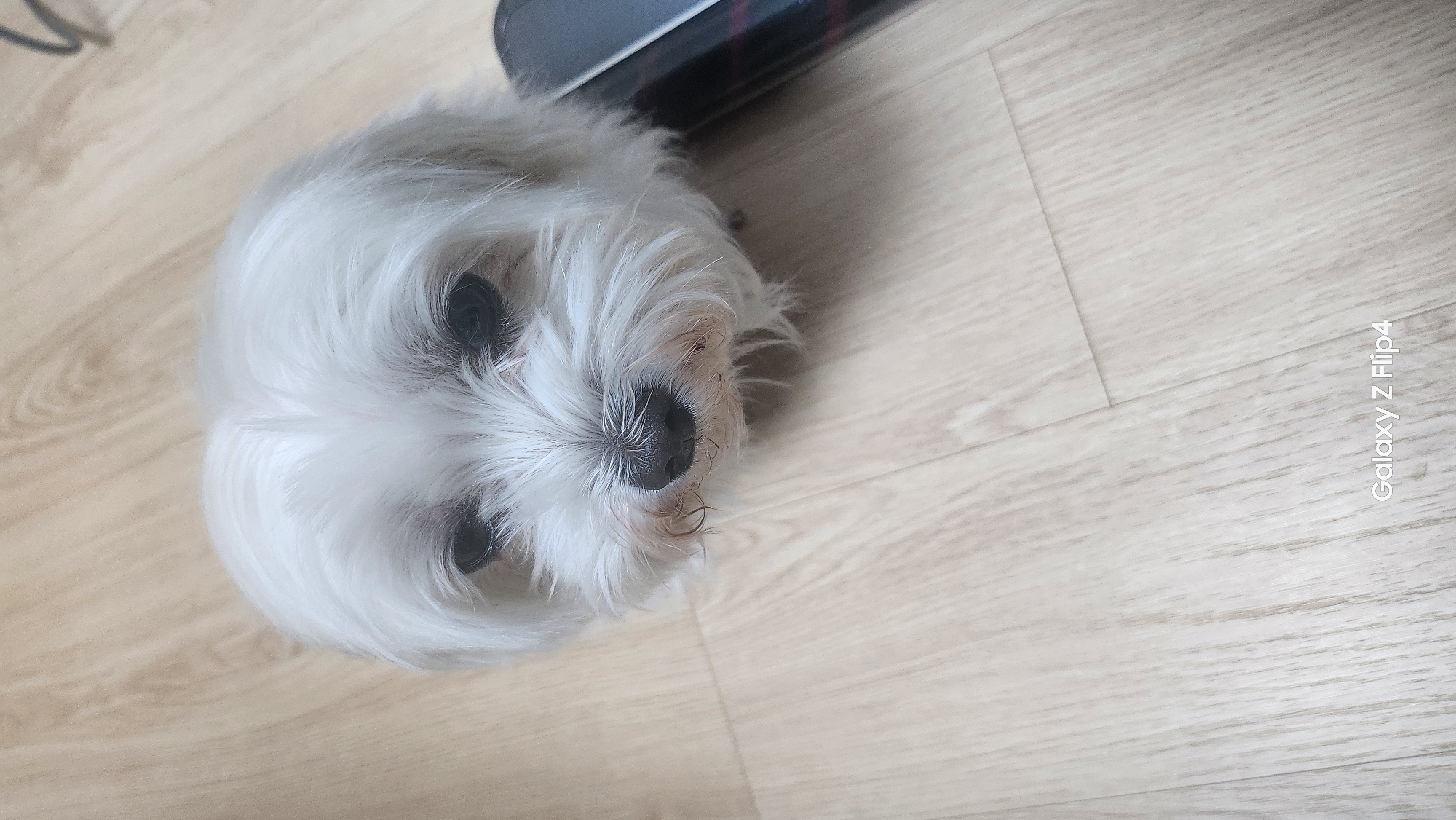 파일:1000009382.jpg