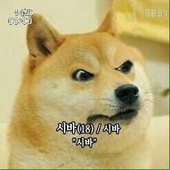 파일:16421.jpg