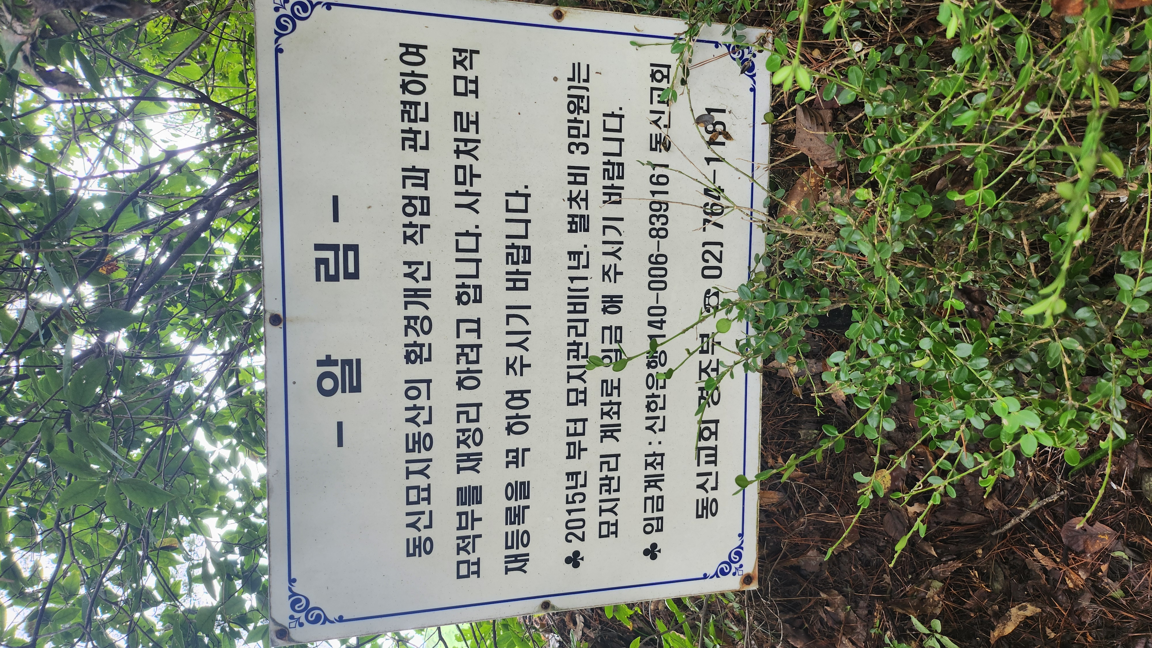 파일:1000008317.jpg
