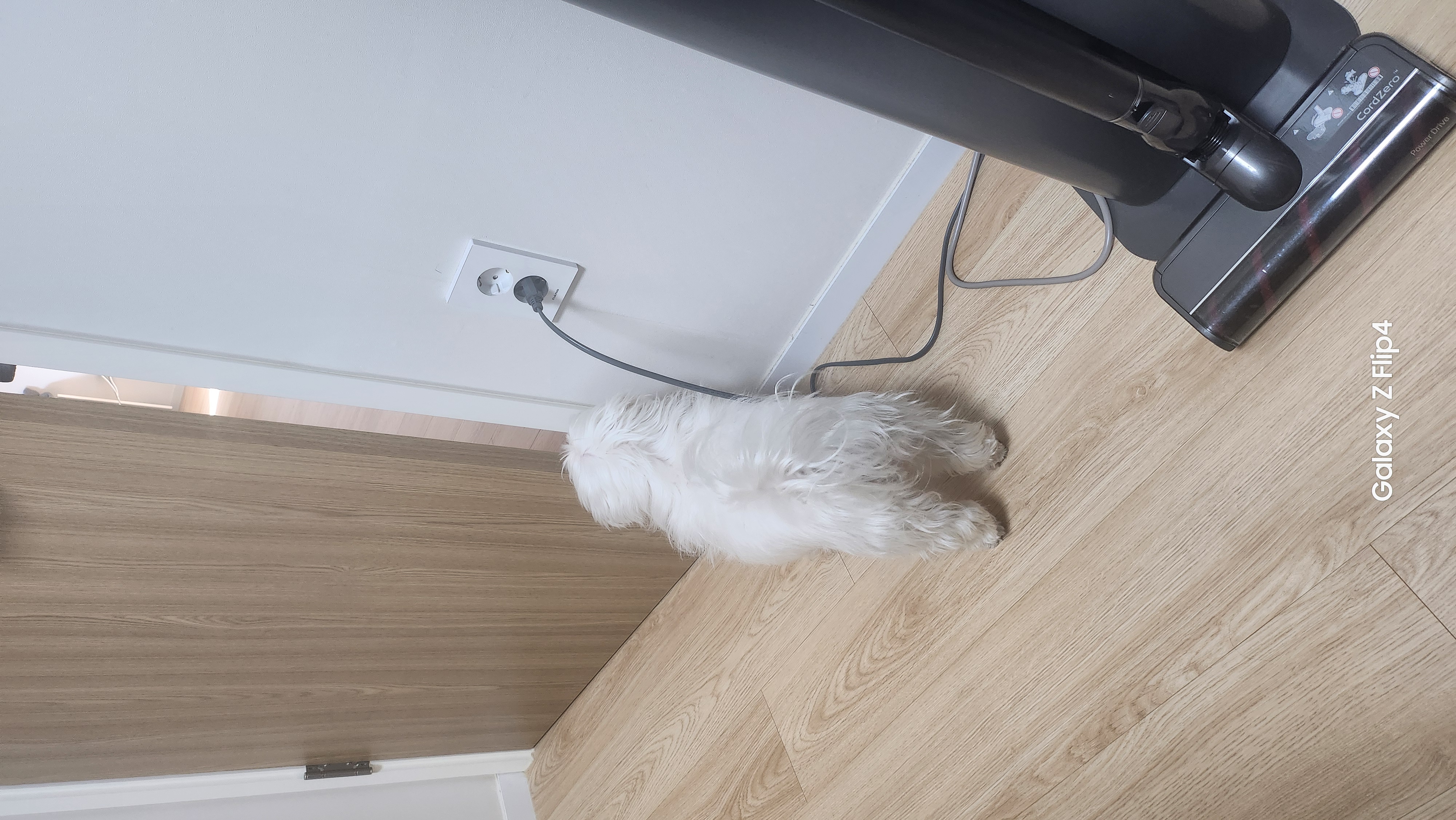 파일:1000009378.jpg