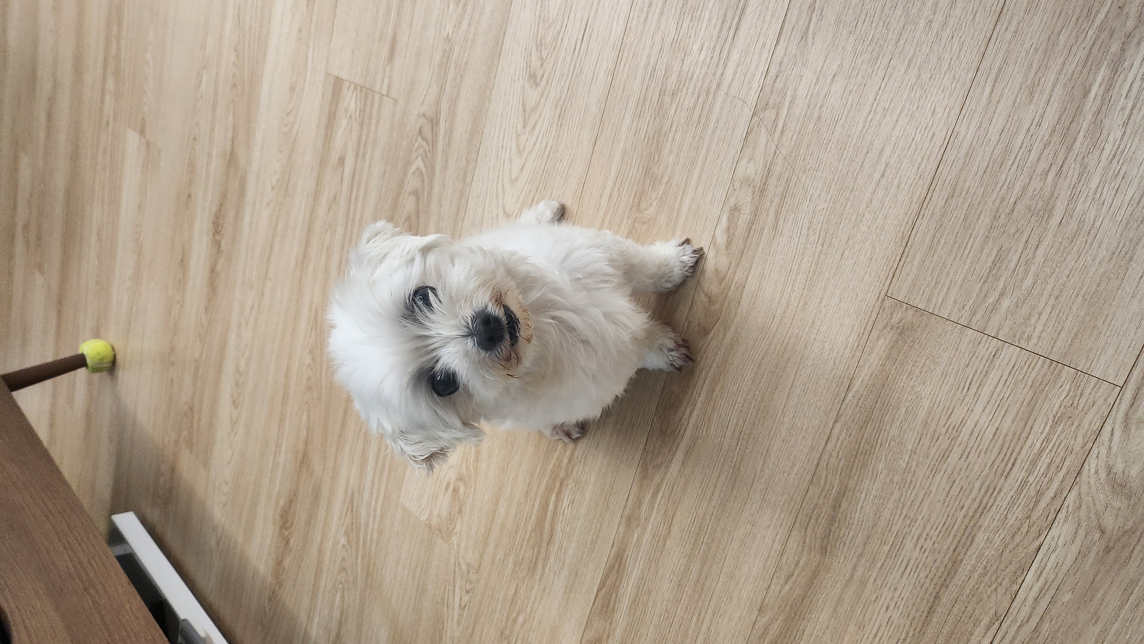 파일:1000010681.jpg